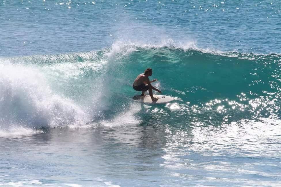 Sundance Surf Coconut Point Hotel Weligama Bagian luar foto