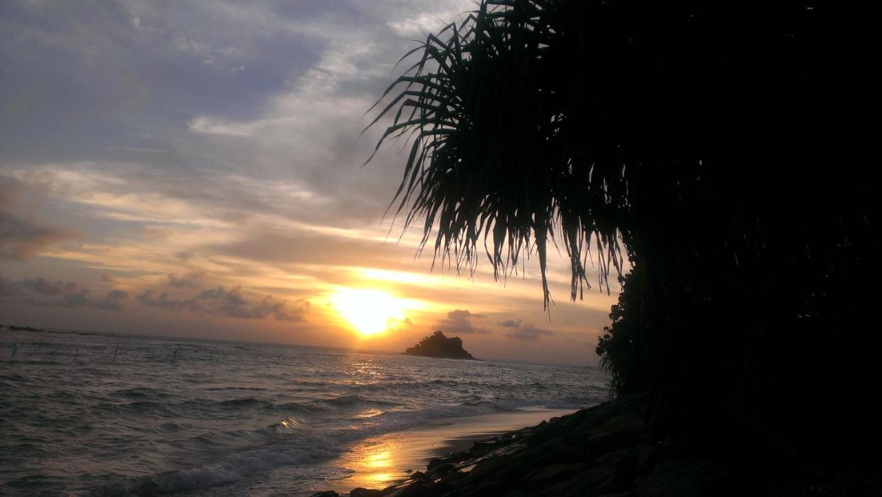 Sundance Surf Coconut Point Hotel Weligama Bagian luar foto